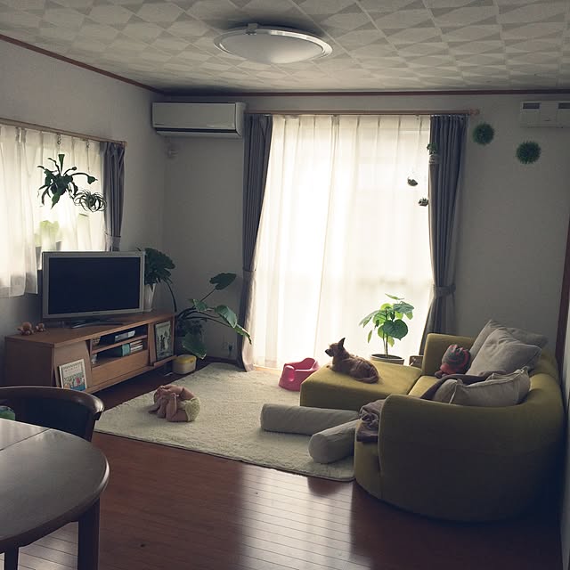 kazuさんの実例写真