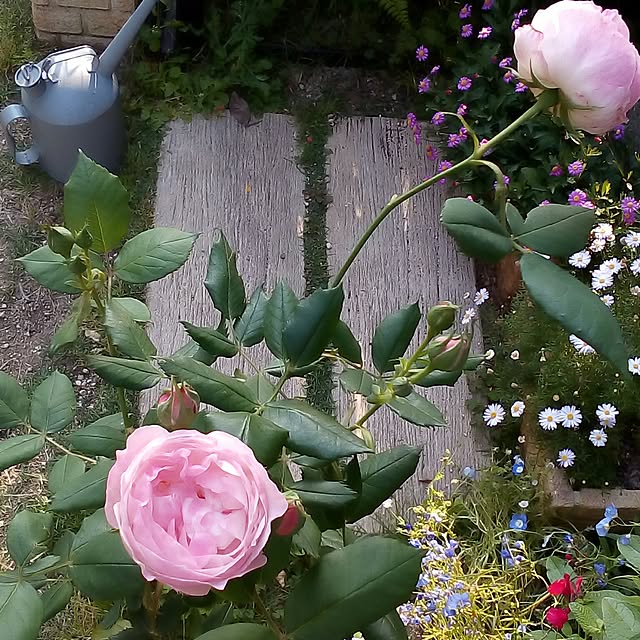 mariagardenさんの実例写真