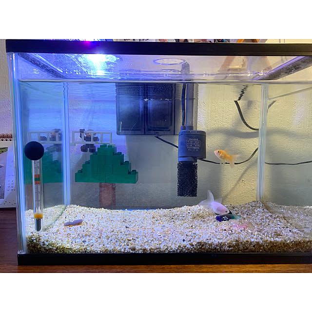 kaさんの部屋