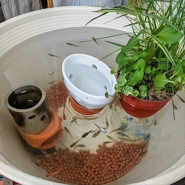 mi-saさんの部屋