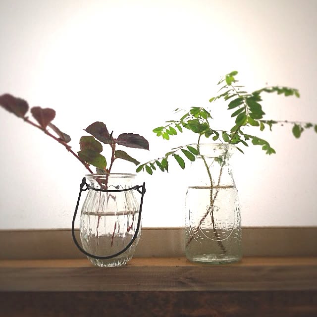 rookuさんの実例写真