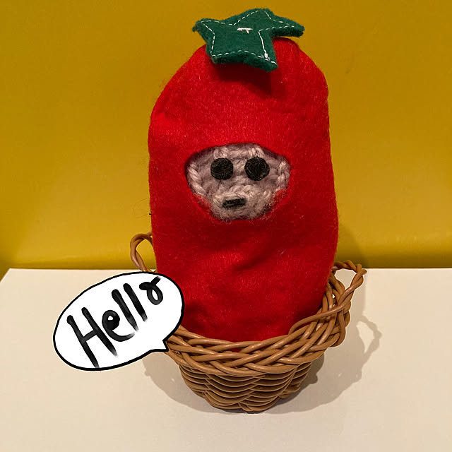 manduonmaさんの実例写真