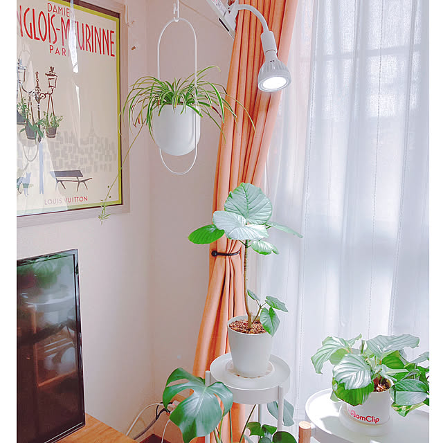 yuyuさんの部屋