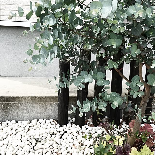 kuruさんの実例写真