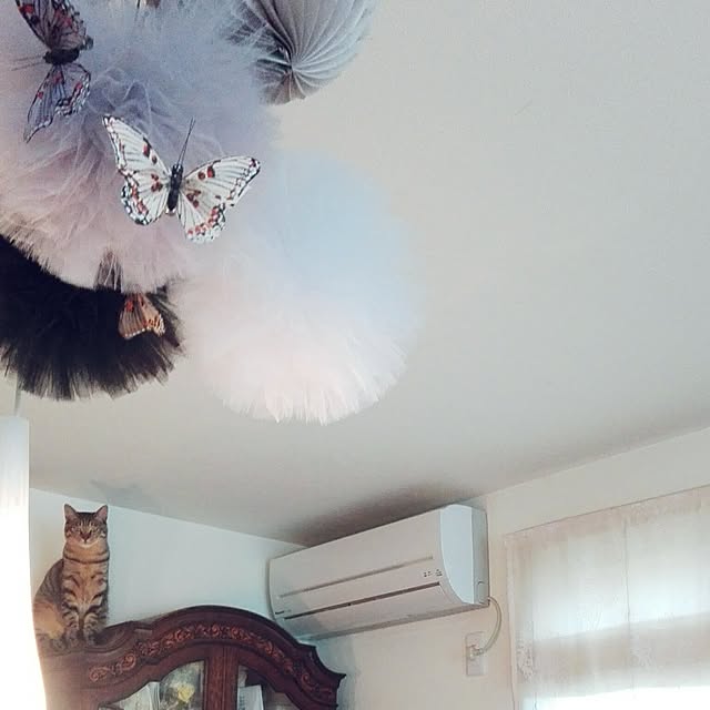 noraさんの実例写真