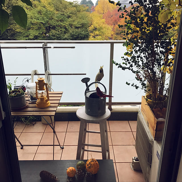tacaco01180919さんの実例写真