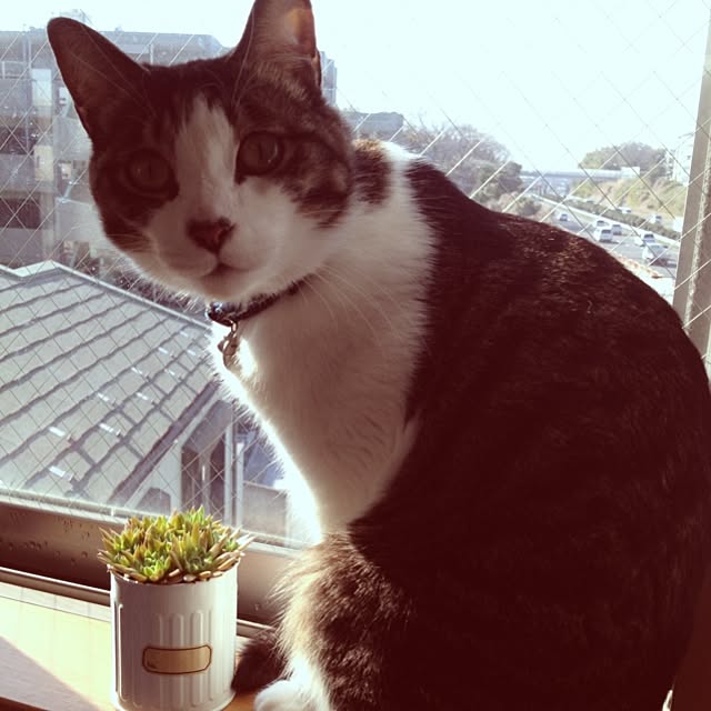 marieさんの実例写真
