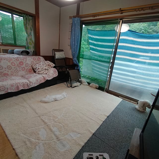 makaronさんの実例写真