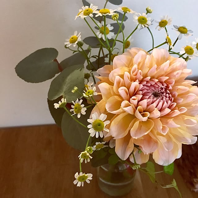 Mikiさんの実例写真