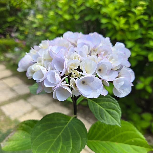 min_nimさんの部屋