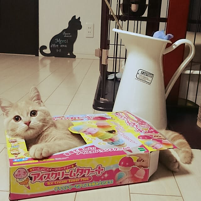 yukiさんの実例写真