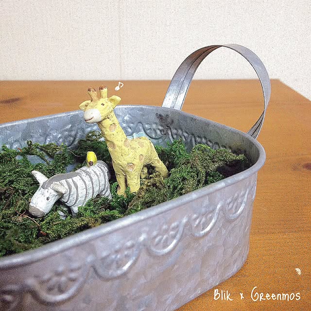potakoさんの実例写真