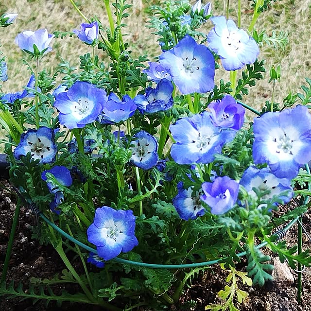 katさんの実例写真