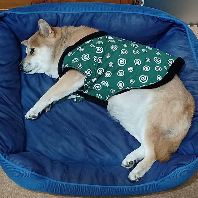 nanaさんの部屋