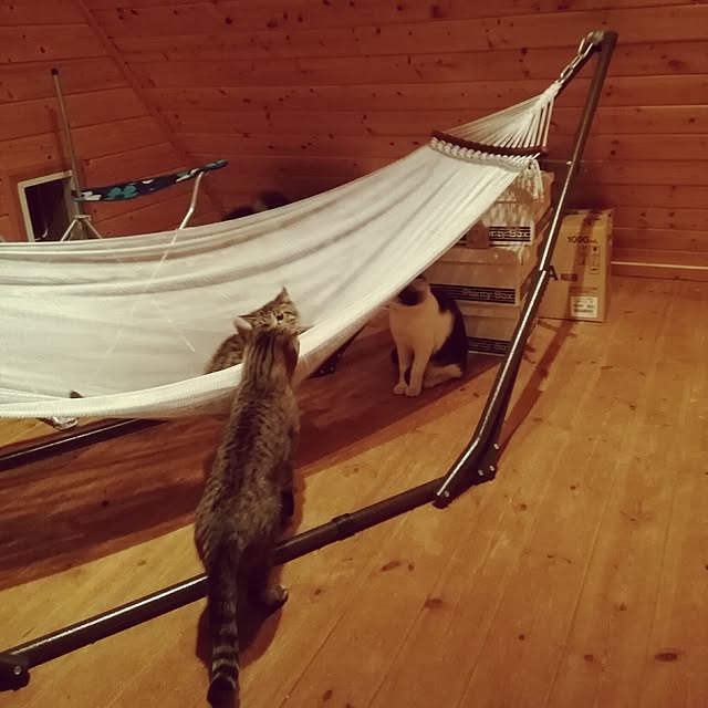 Maki-nekomamireさんの実例写真