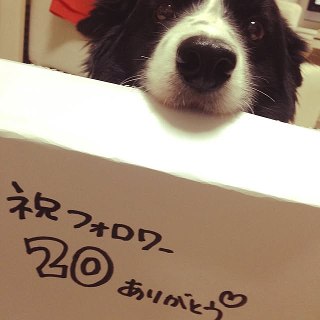 YukAさんの実例写真