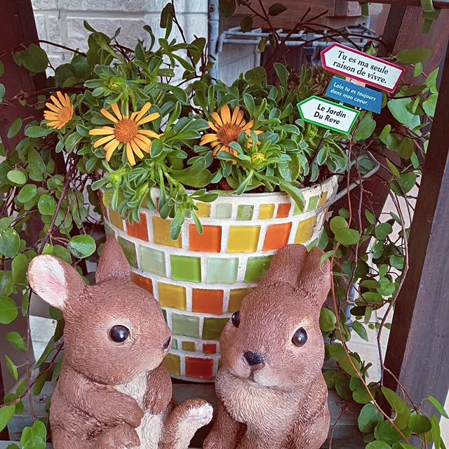 mocomocoさんの実例写真