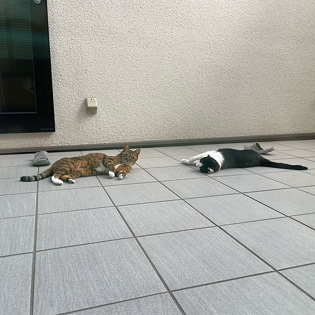maruさんの実例写真