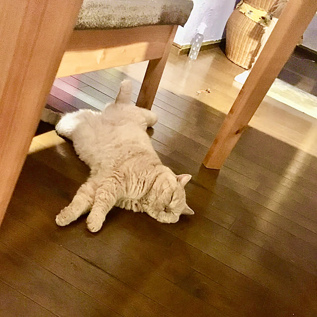 naokoさんの部屋
