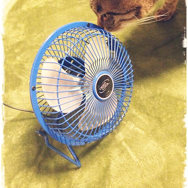 shigimiさんの実例写真