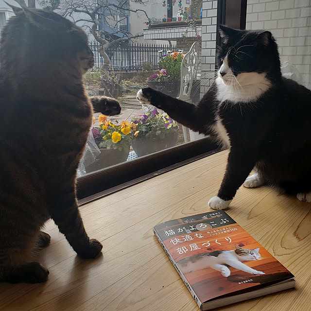 Mayumi8888さんの実例写真