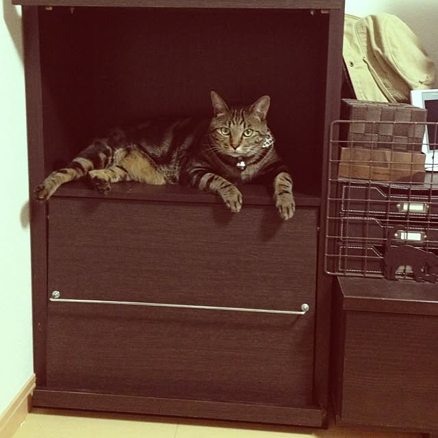 konatsuさんの実例写真
