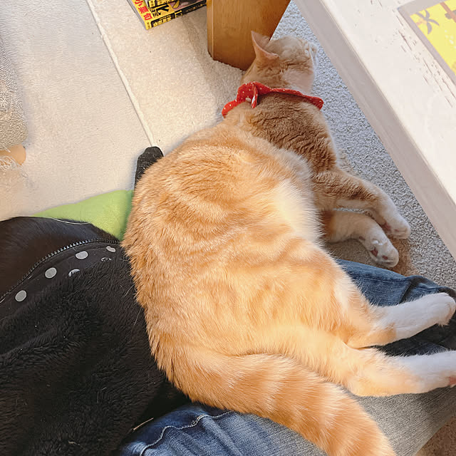 moolさんの部屋