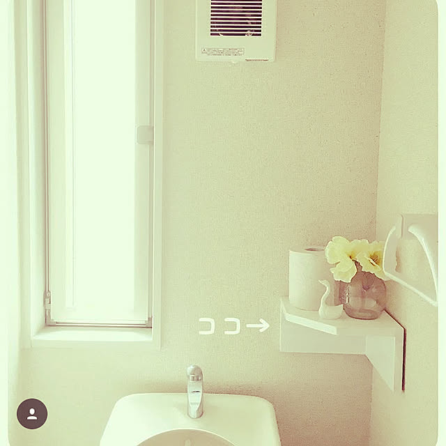 apiさんの実例写真