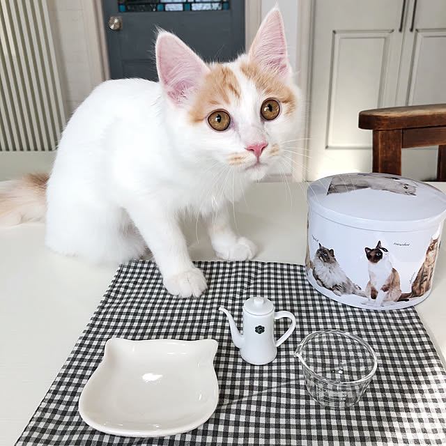 yuchiさんの実例写真