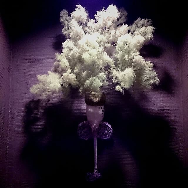 Gravityさんの実例写真