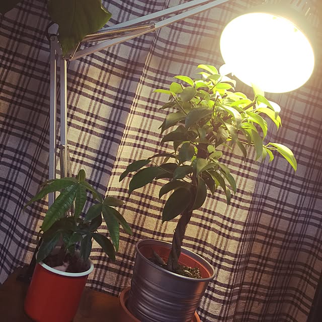 Kotaroさんの実例写真