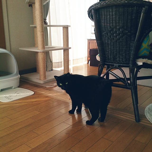 naru2014さんの実例写真