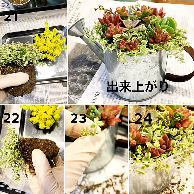 nyaaさんの実例写真