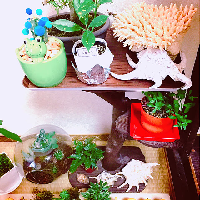koyuriさんの実例写真