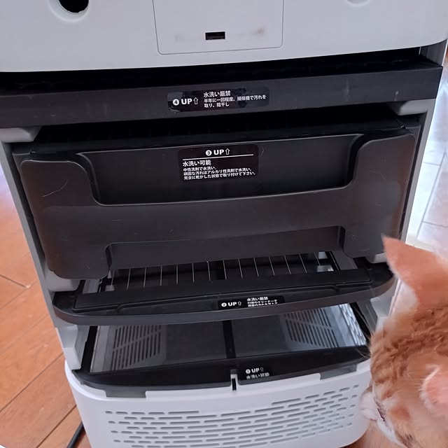 NOAHさんの部屋