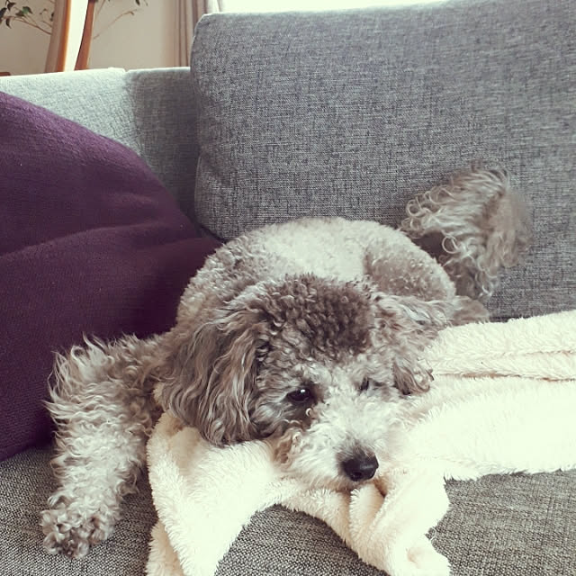 matthewさんの実例写真