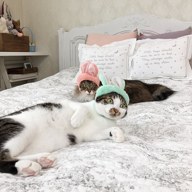 yuchiさんの実例写真