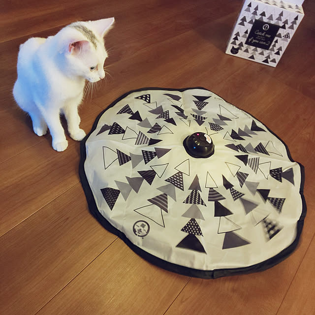 necoさんの実例写真