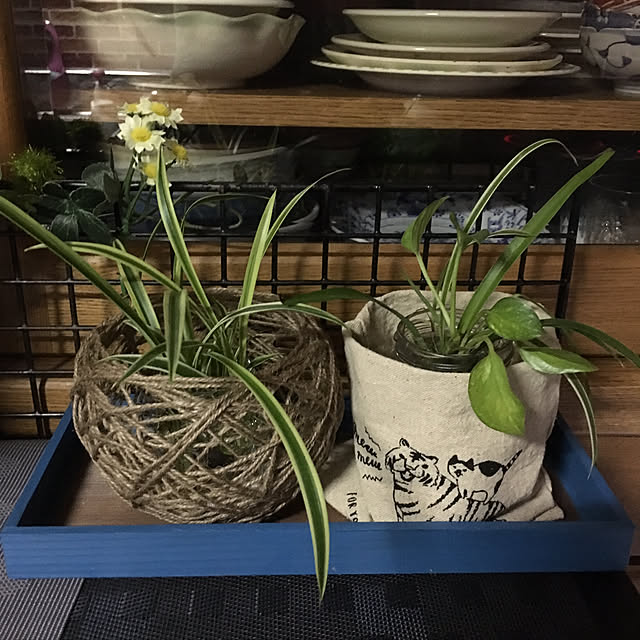 sakuranboさんの実例写真