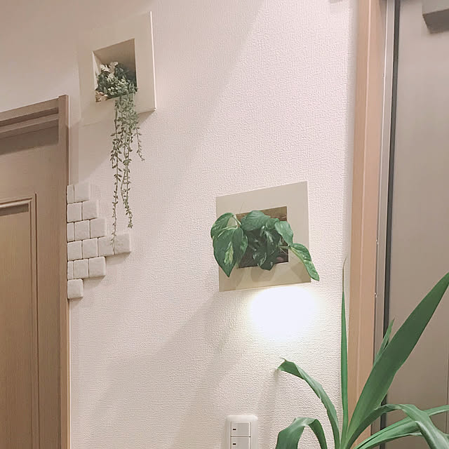 saahannさんの実例写真
