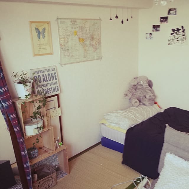 cottonさんの実例写真