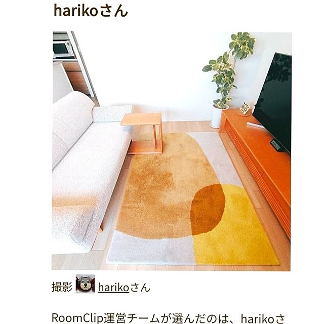 harikoさんの実例写真