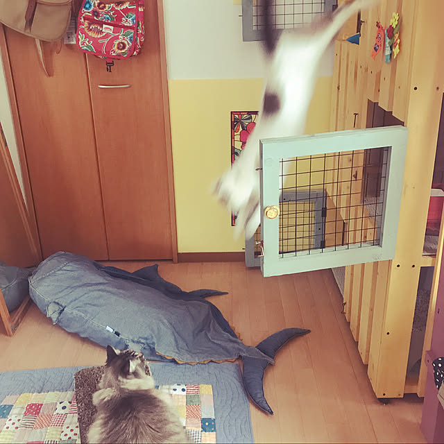harunatsuakibaさんの実例写真