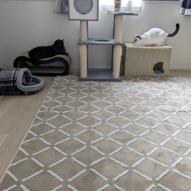 kumiさんの実例写真