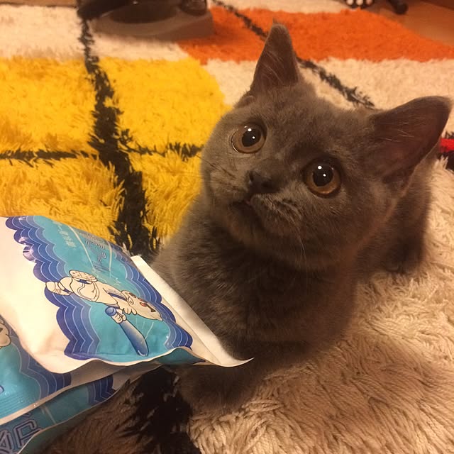 Shojiさんの実例写真