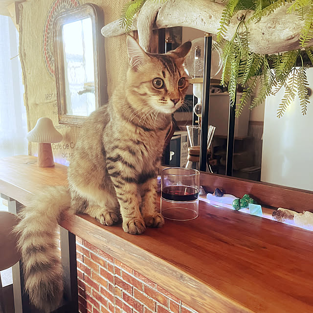 Mさんの部屋