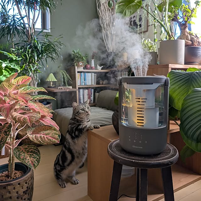 ayamameさんの部屋