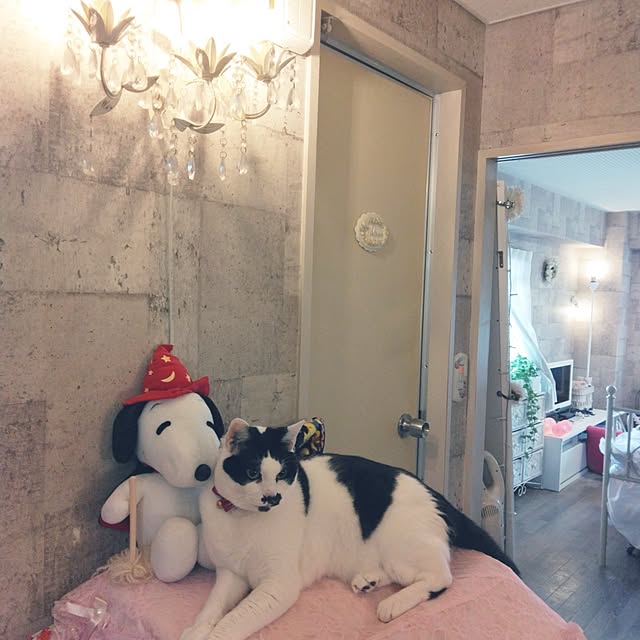 asuminさんの実例写真