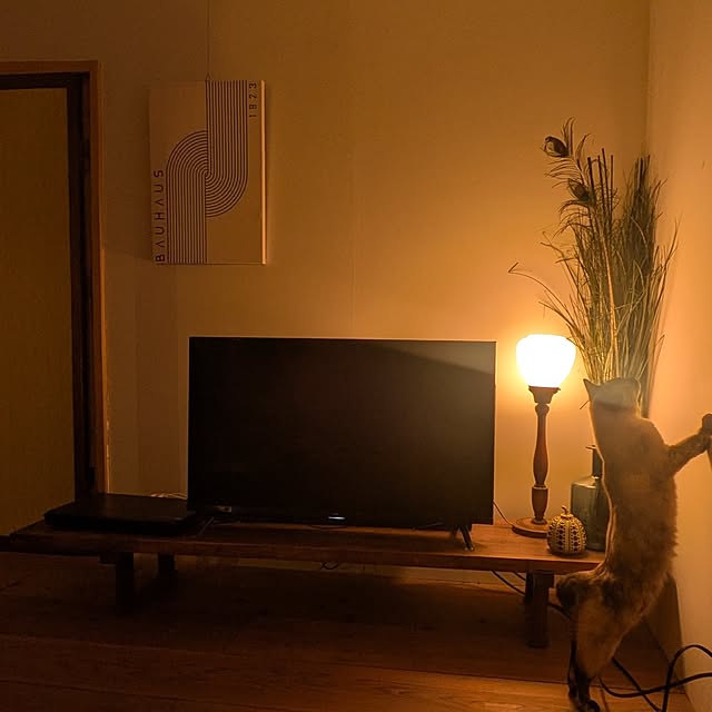 isikoro.DIYさんの実例写真