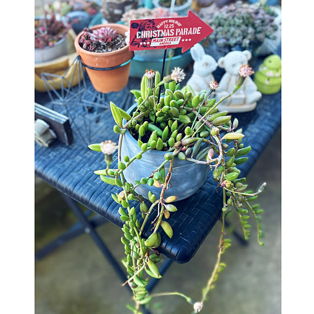 CoCo0617さんの実例写真